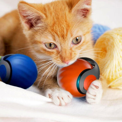 Fun Pet Rolling Ball Toy