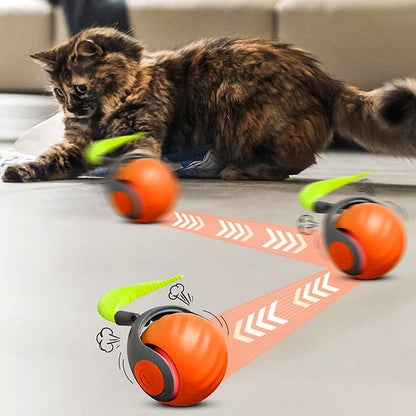 Fun Pet Ball Toy - Automatic Rolling Cat Plaything