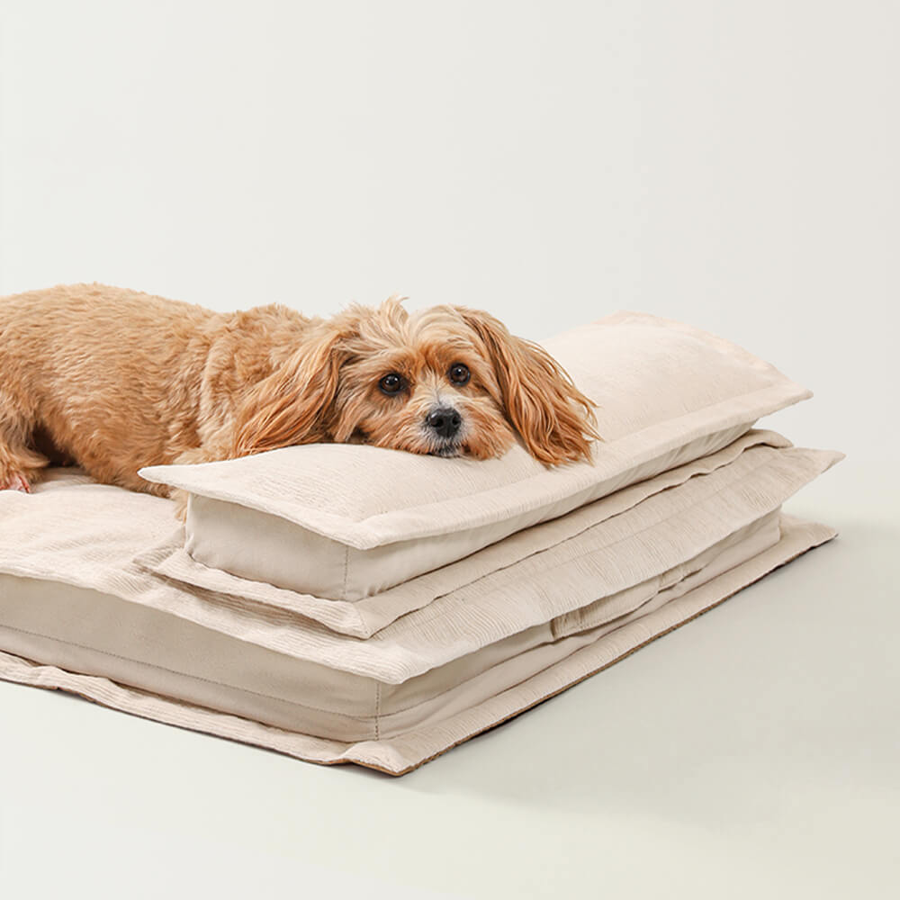 Calming Dog Bed - CozyCalm Deep Sleep-Beige-S-Nora Luxe