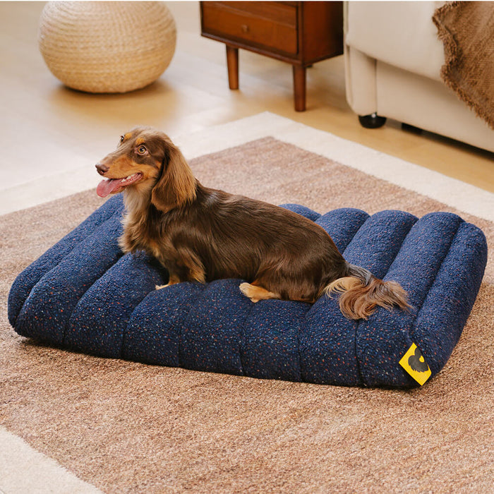 Comfortable Dog Bed - Cheesecake Comfort Bed-Blue-M-Nora Luxe