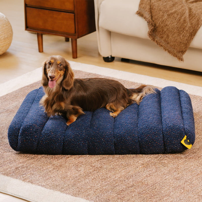 Comfortable Dog Bed - Cheesecake Comfort Bed-White-M-Nora Luxe