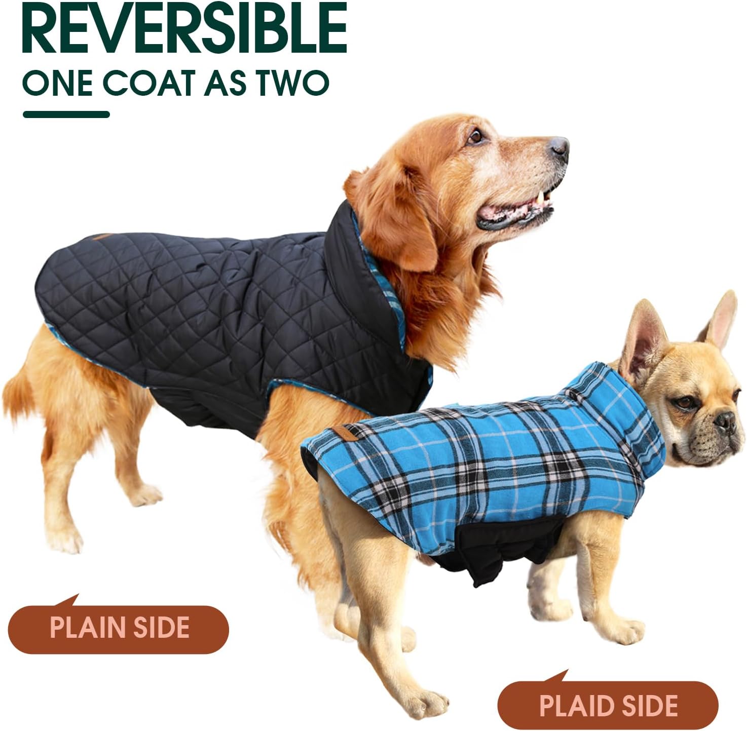 Cozy Waterproof Dog Jacket – Winter Coat in British Style-Red-S-Nora Luxe