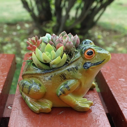 Fun Mini Indoor Planter - FroggyPot - Pexav