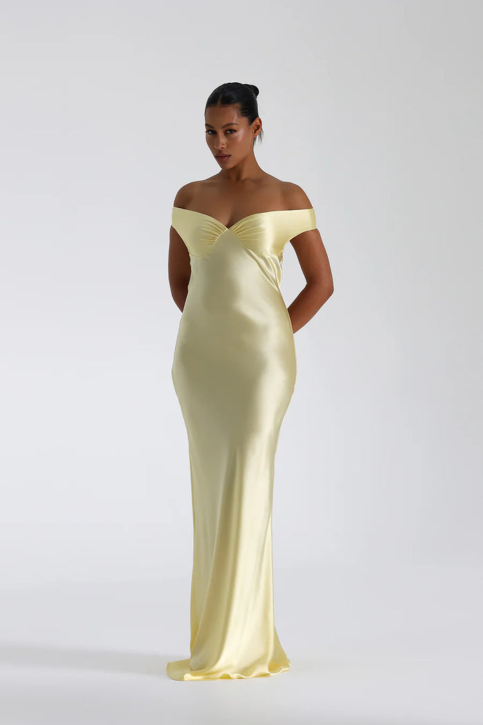 Elegant Ladies Long V Neck Dress