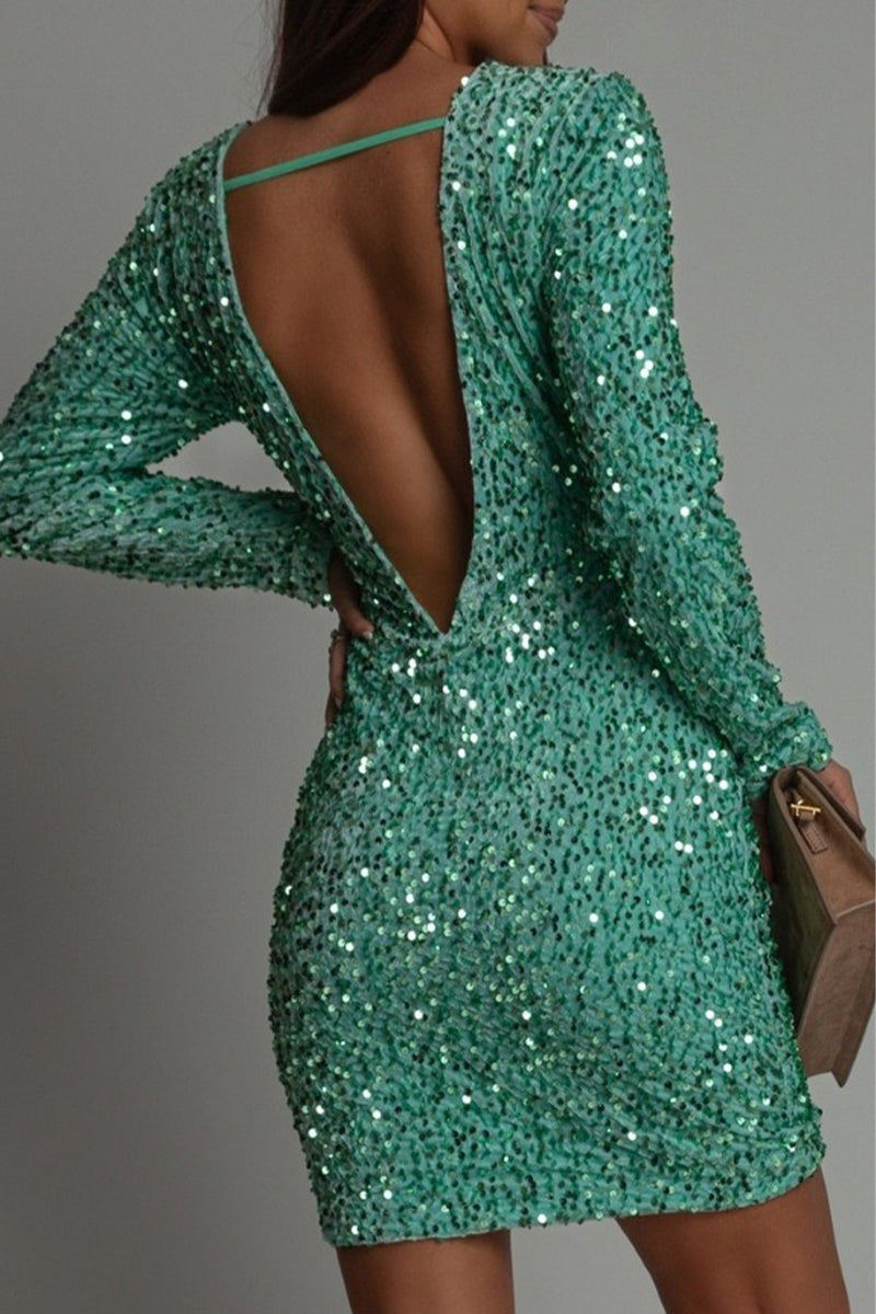 Glittery Round Neck Long Sleeve Evening Dress