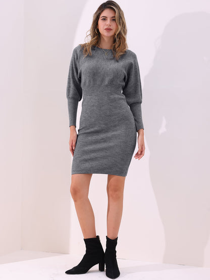 Cozy Fit Women's Cable Knit Dress