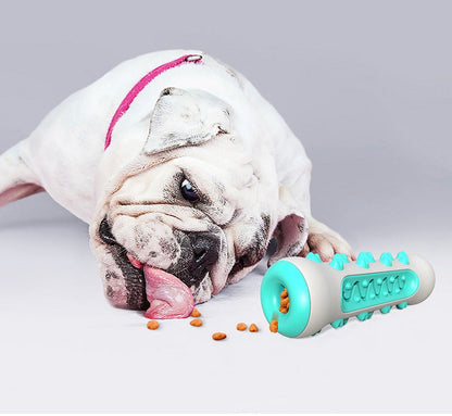 Dental Cleaning Chew Toy for Dogs – Chewly-Blue-The Livary