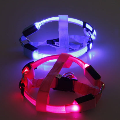 Dog harness with LED - Glow&Go-Blue-XS-Nora Luxe