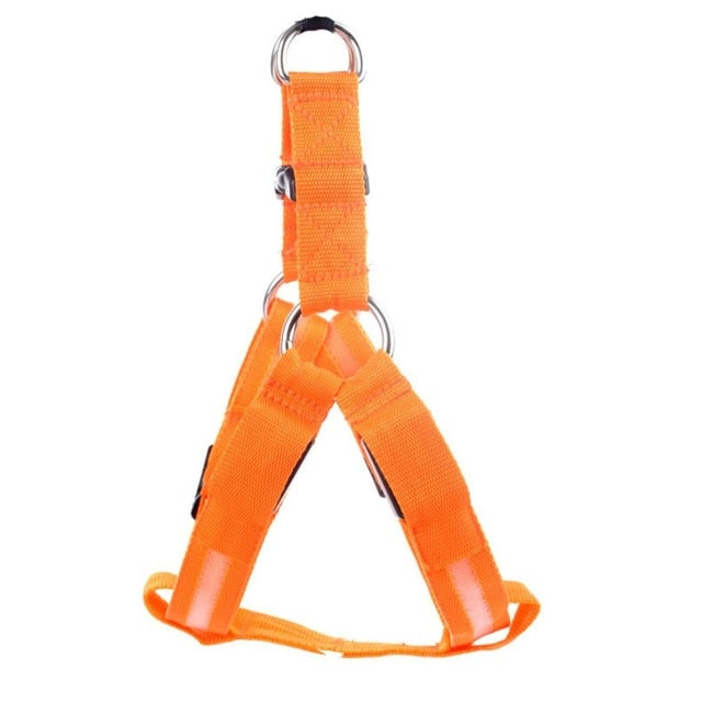 Dog harness with LED - Glow&Go-Orange-XS-Nora Luxe