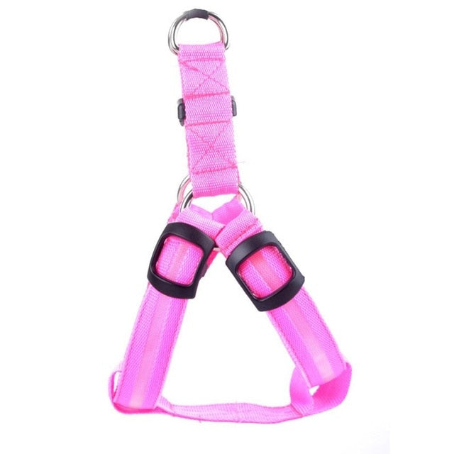 Dog harness with LED - Glow&Go-Pink-XS-Nora Luxe