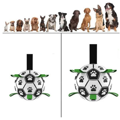 Durable Dog Football with Handles – TugBounce-Small (15cm)-The Livary