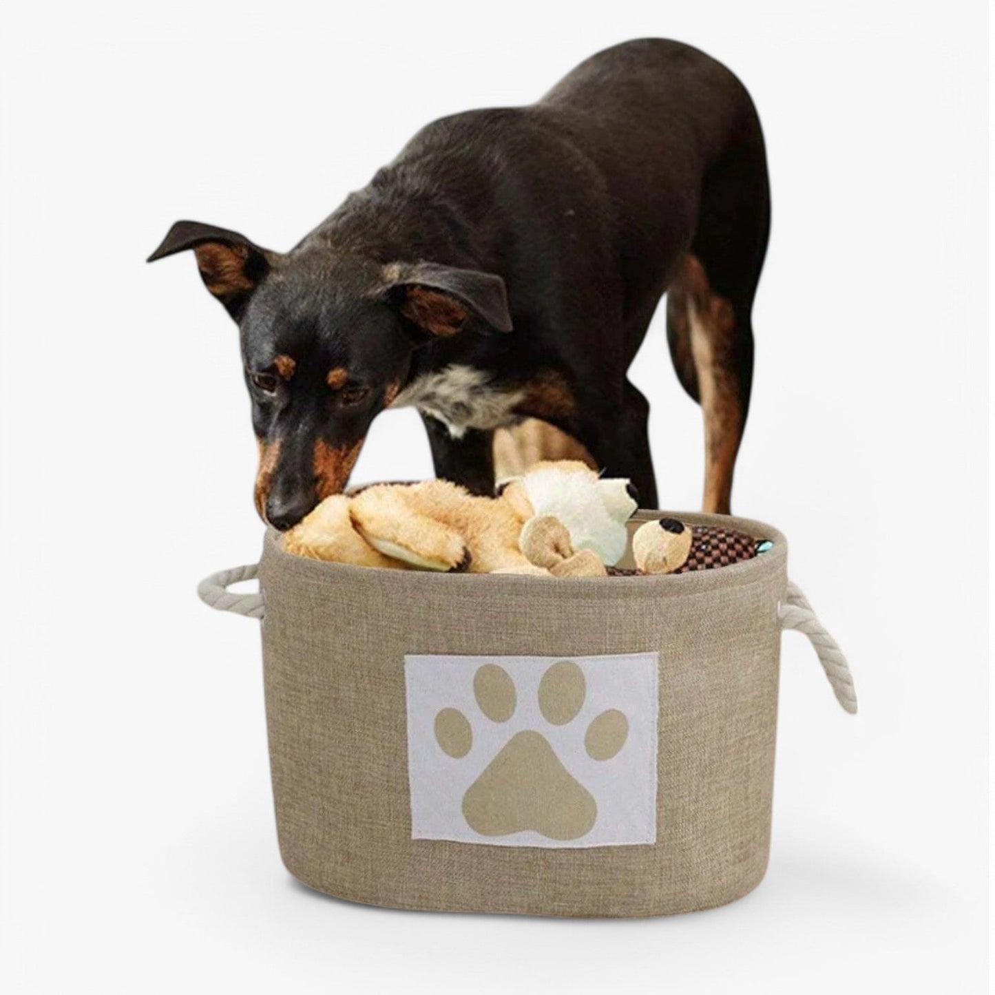 Collapsible Storage Toy Basket with Carry Handle - Pexav
