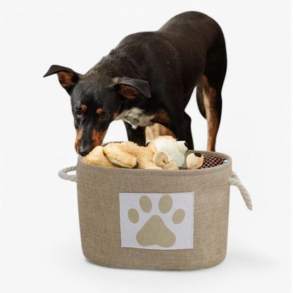 Collapsible Storage Toy Basket with Carry Handle - Pexav