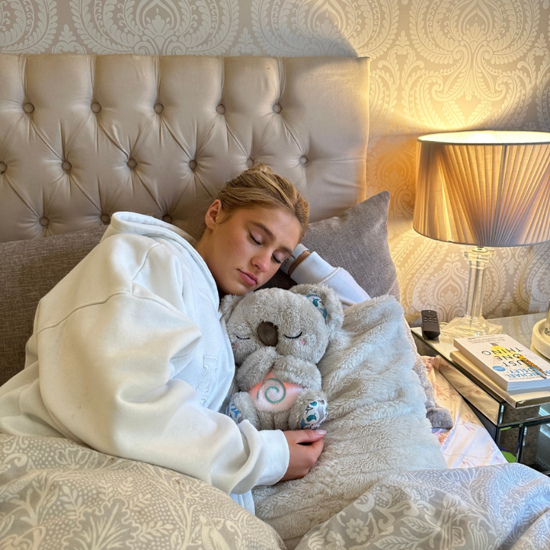 Soft Plush Teddy Bear