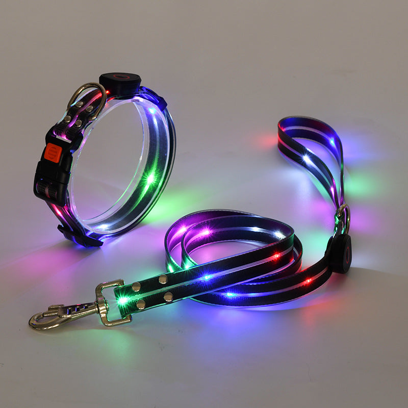 Glowing LED Dog Collar with Leash - NightBright-Black-Nora Luxe