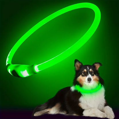 GlowSafe LED Dog Collar – Rechargeable USB Safety Light-Green-Nora Luxe
