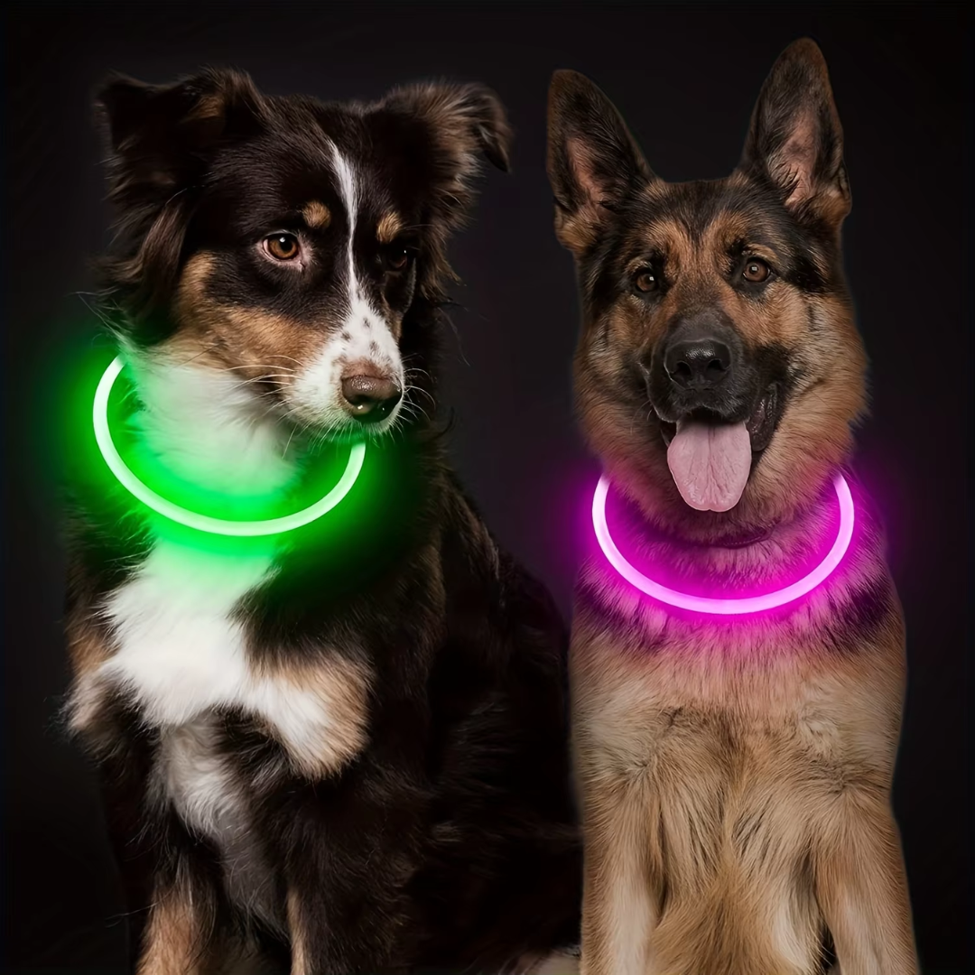 GlowSafe LED Dog Collar – Rechargeable USB Safety Light-Pink-Nora Luxe