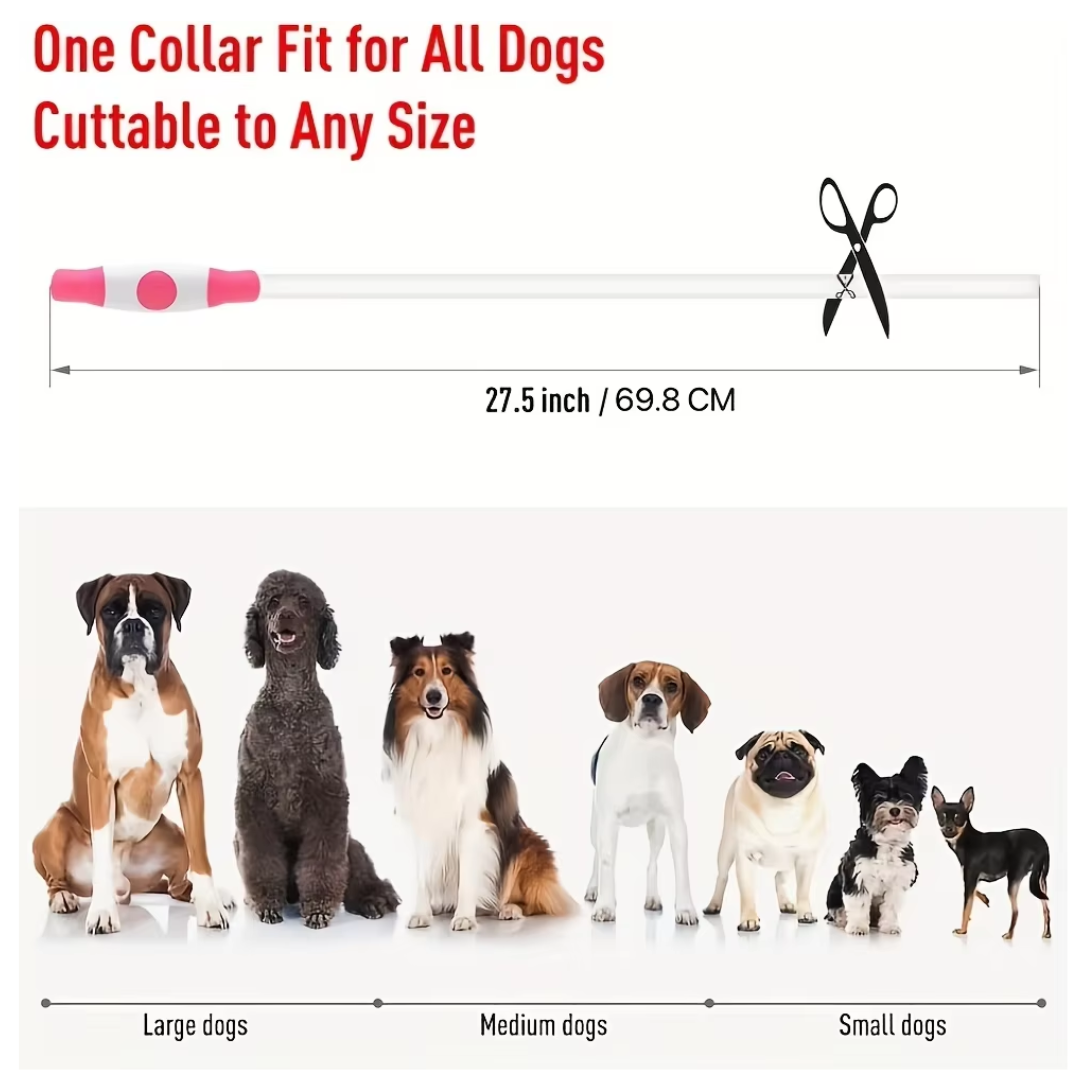 GlowSafe LED Dog Collar – Rechargeable USB Safety Light-Pink-Nora Luxe