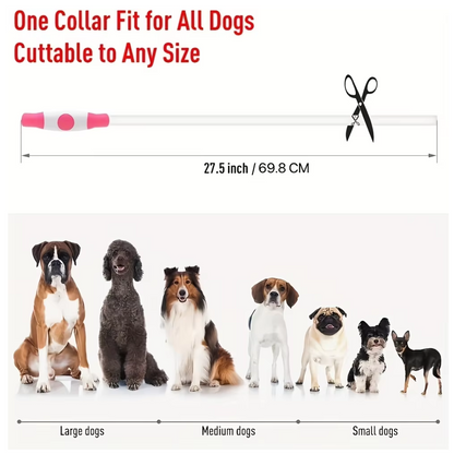 GlowSafe LED Dog Collar – Rechargeable USB Safety Light-Pink-Nora Luxe