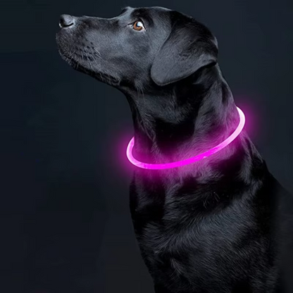 GlowSafe LED Dog Collar – Rechargeable USB Safety Light-Pink-Nora Luxe