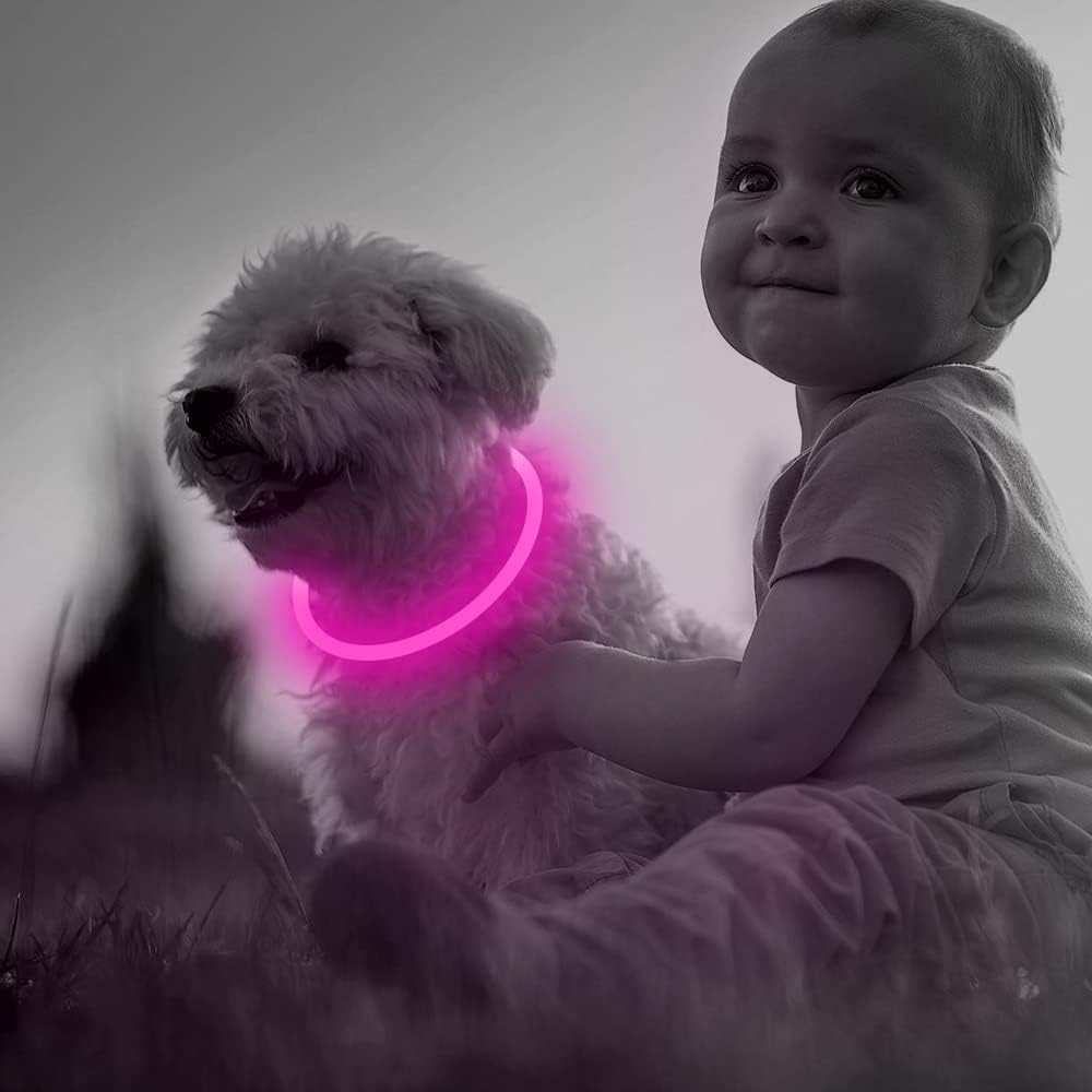 GlowSafe LED Dog Collar – Rechargeable USB Safety Light-Pink-Nora Luxe