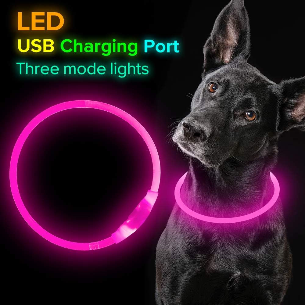 GlowSafe LED Dog Collar – Rechargeable USB Safety Light-Pink-Nora Luxe