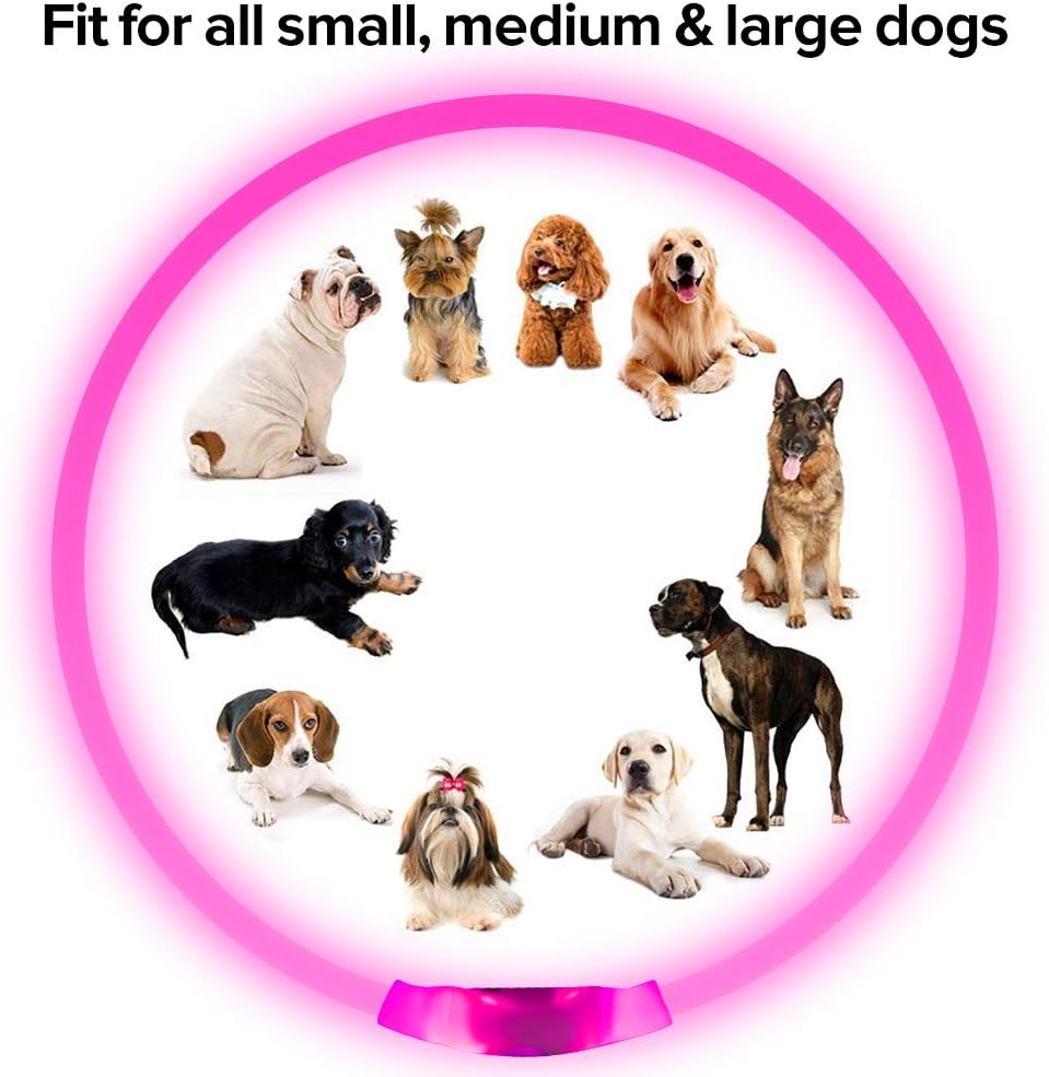 GlowSafe LED Dog Collar – Rechargeable USB Safety Light-Pink-Nora Luxe