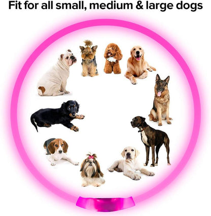 GlowSafe LED Dog Collar – Rechargeable USB Safety Light-Pink-Nora Luxe