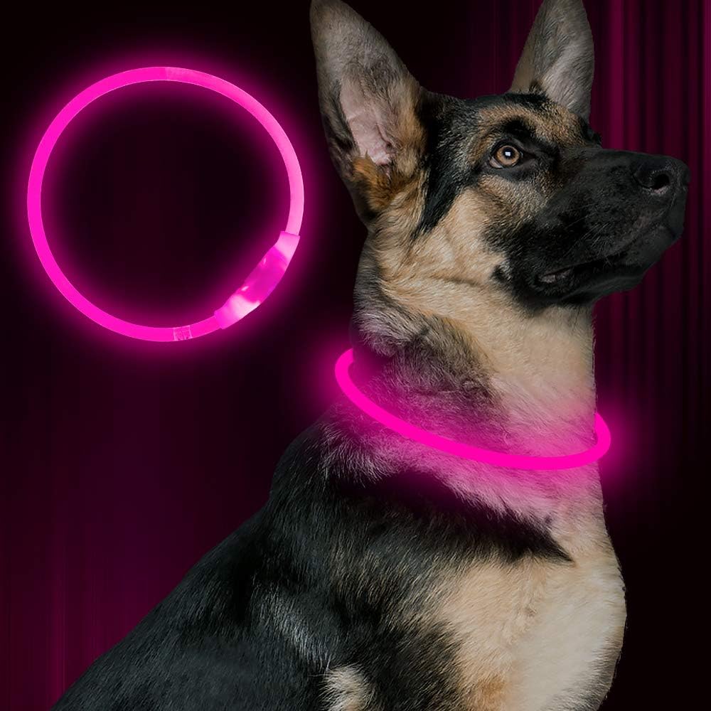 GlowSafe LED Dog Collar – Rechargeable USB Safety Light-Pink-Nora Luxe