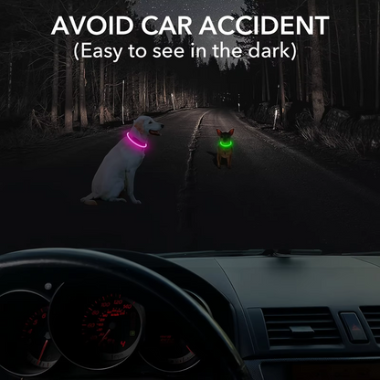 GlowSafe LED Dog Collar – Rechargeable USB Safety Light-Pink-Nora Luxe