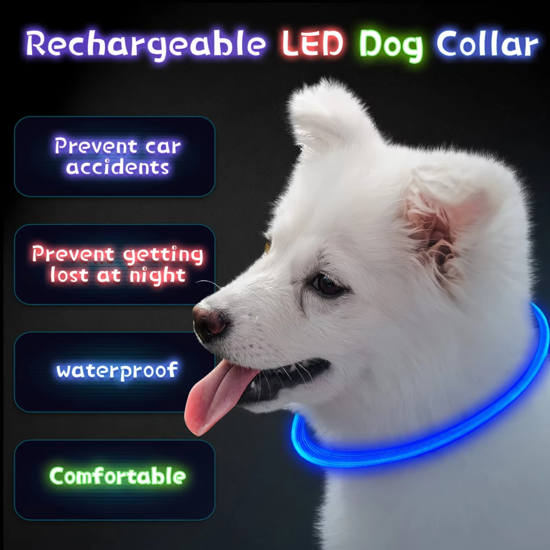 GlowSafe LED Dog Collar – Rechargeable USB Safety Light-Pink-Nora Luxe