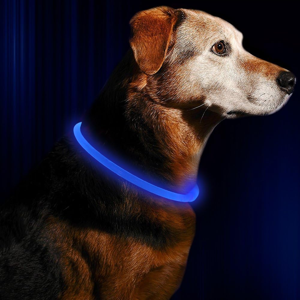 Bright Pet LED Dog Collar – Rechargeable Safety Necklace - Pexav