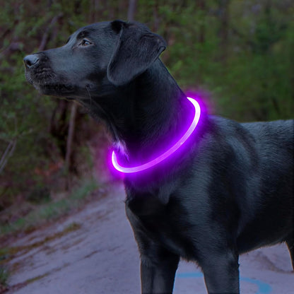 GlowSafe LED Dog Collar – Rechargeable USB Safety Light-Purple-Nora Luxe