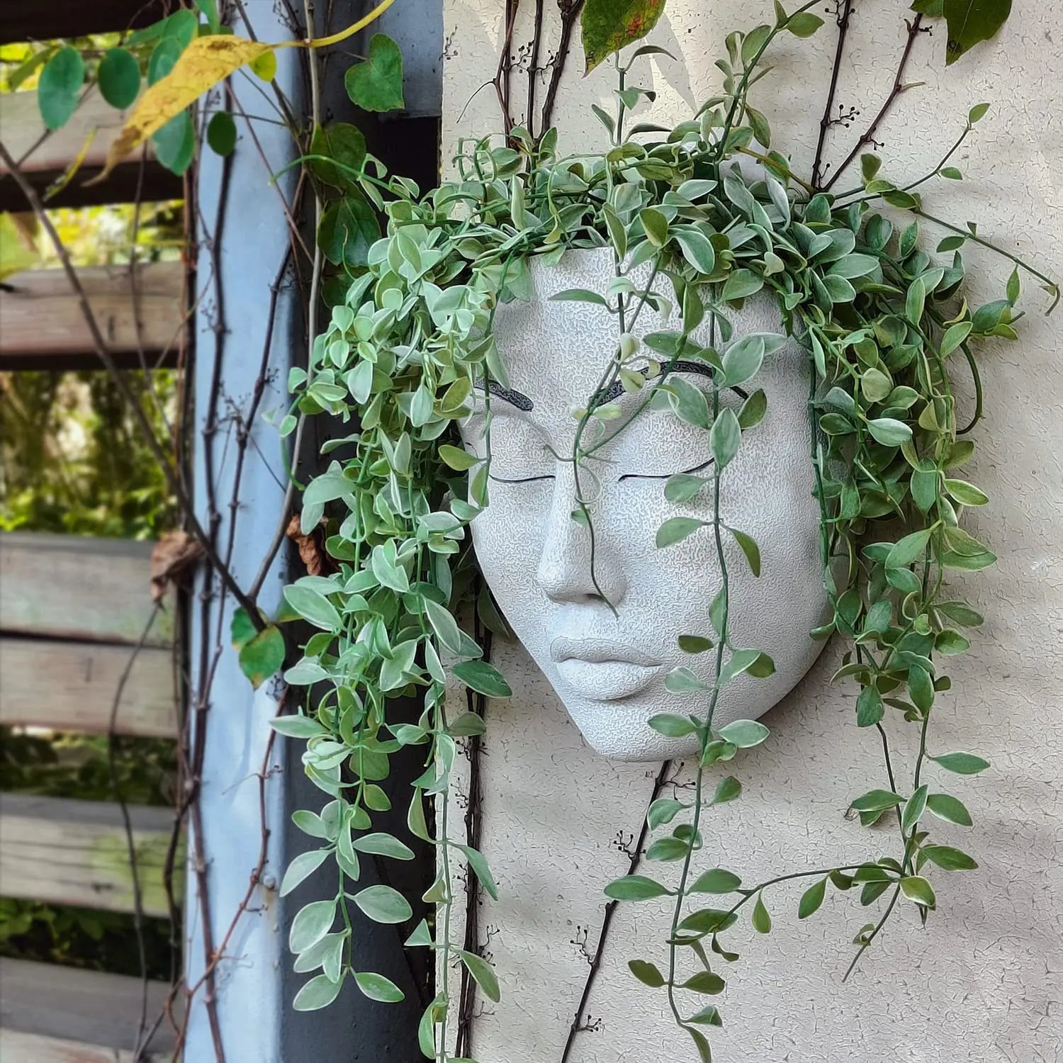 Hanging Pot with Harsh Human Face - FaceVibe-A-Nora Luxe