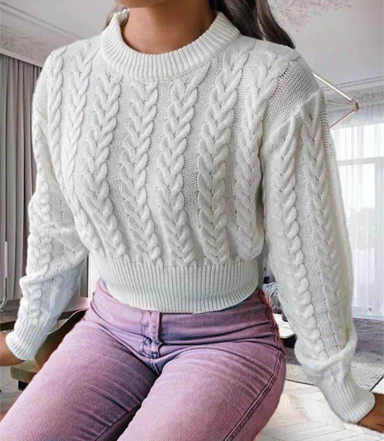 Soft Crew Neck Cable Knit Women's Sweater - Nocini