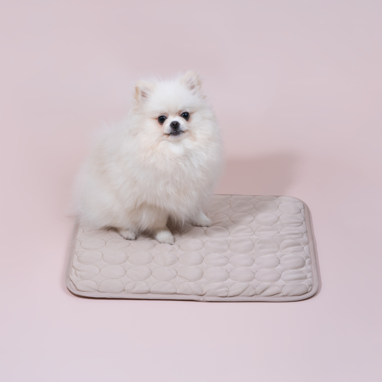 Innovative Cooling Mat for Dogs (4x Cooling Power) - ChillComfort-Beige/Brown-XS-Nora Luxe