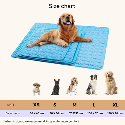 Innovative Cooling Mat for Dogs (4x Cooling Power) - ChillComfort-Light blue-XS-Nora Luxe