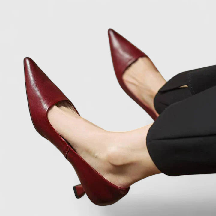 Ladies Low Heel Pointed Toe Dress Shoes - Olytrend