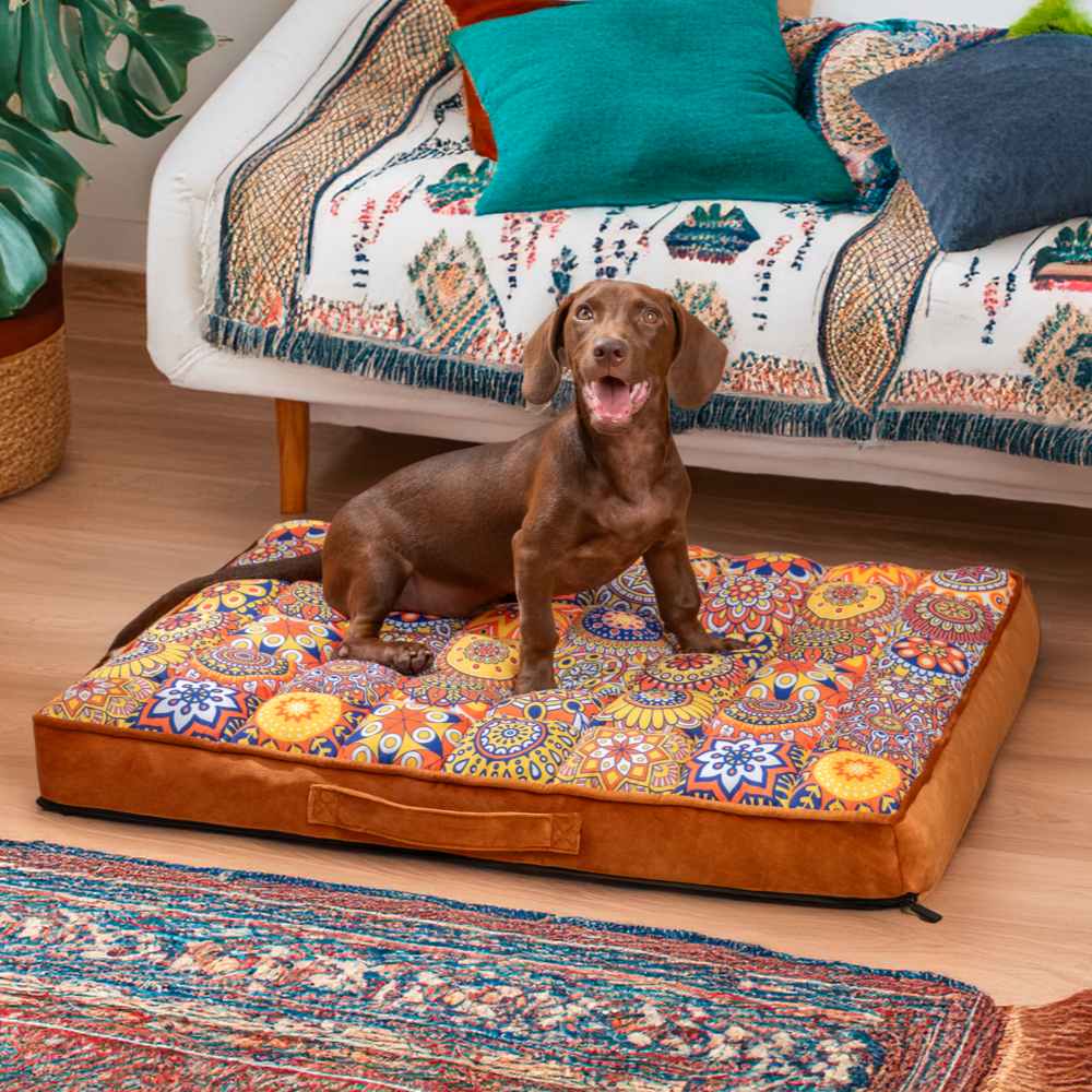 Luxurious Moroccan Style Dog Bed - CasablancaDream-Brown-M-Nora Luxe
