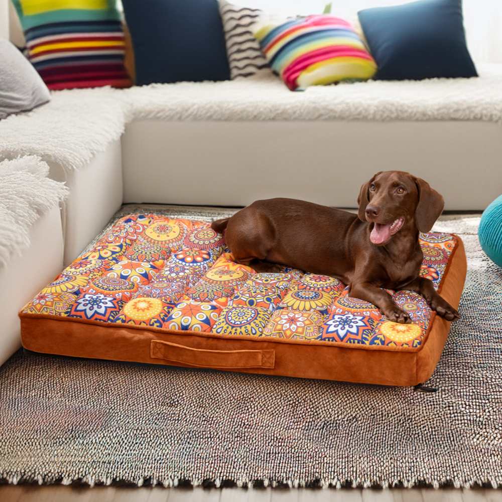 Luxurious Moroccan Style Dog Bed - CasablancaDream-Brown-M-Nora Luxe
