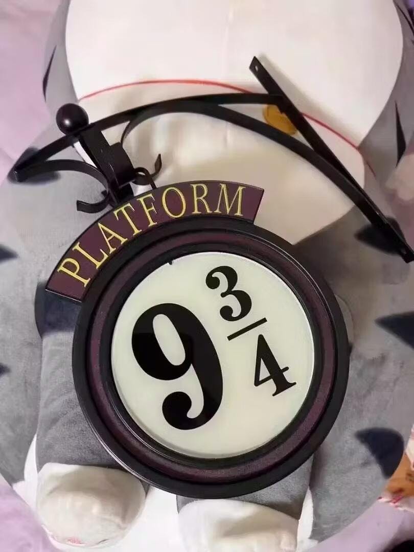 Magical Platform 9¾ Wall Lamp - LumosWall-The Livary