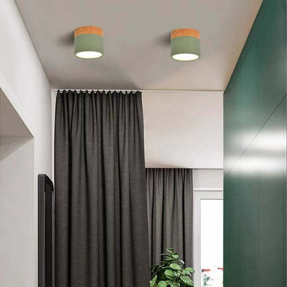 Morandi Style Modern LED Ceiling Lamp - LumiModo-Blue-5W-Warm white-Nora Luxe