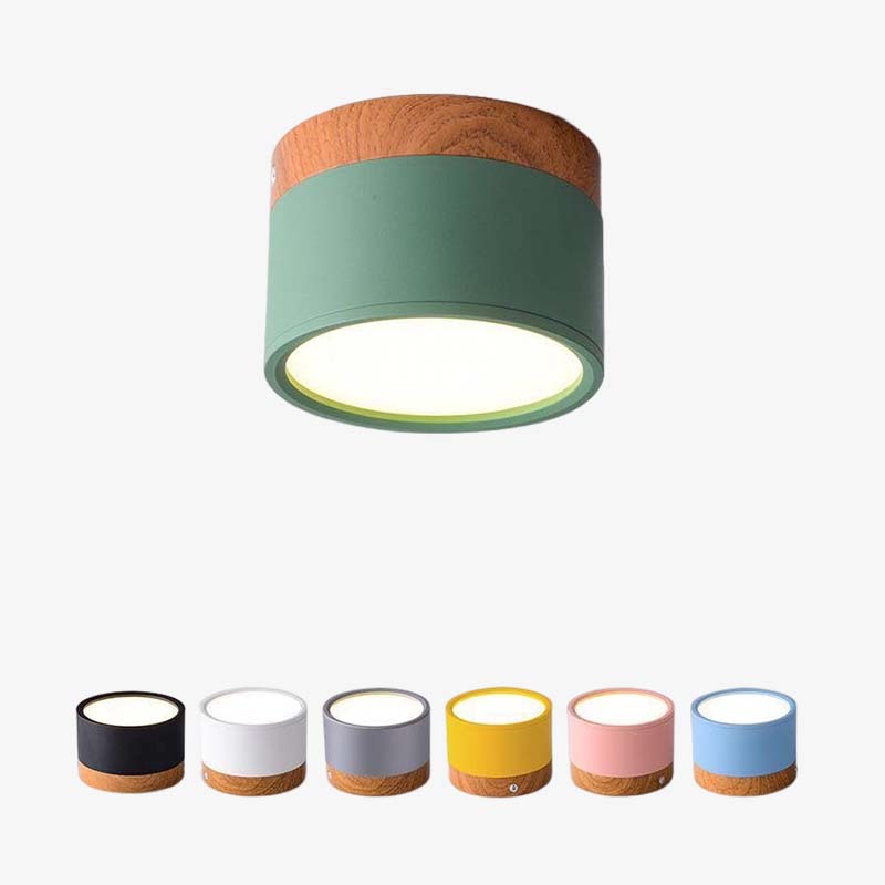 Contemporary LED Ceiling Light Fixture - Pexav