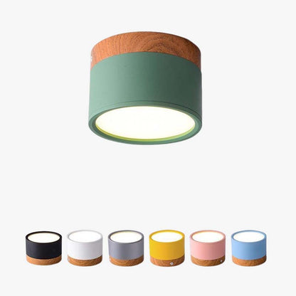 Contemporary LED Ceiling Light Fixture - Pexav