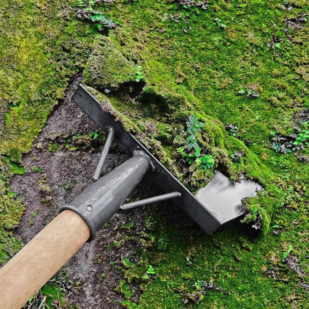 Practical Scraper Scoop for Easy Cleaning - Pexav