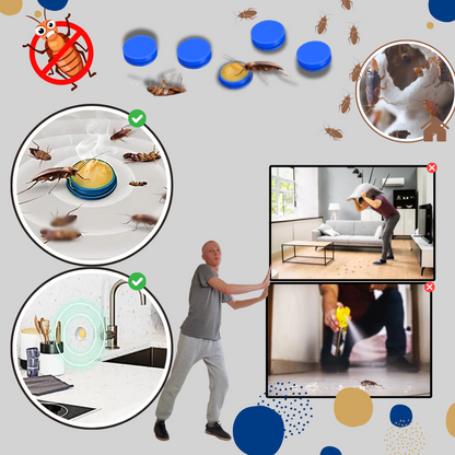 Effective Roach Traps – Easy Pest Control Solution
