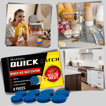 Effective Non Toxic Roach Traps
