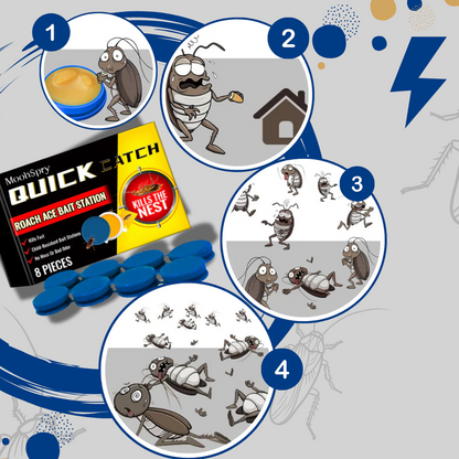 Effective Roach Traps – Easy Pest Control Solution