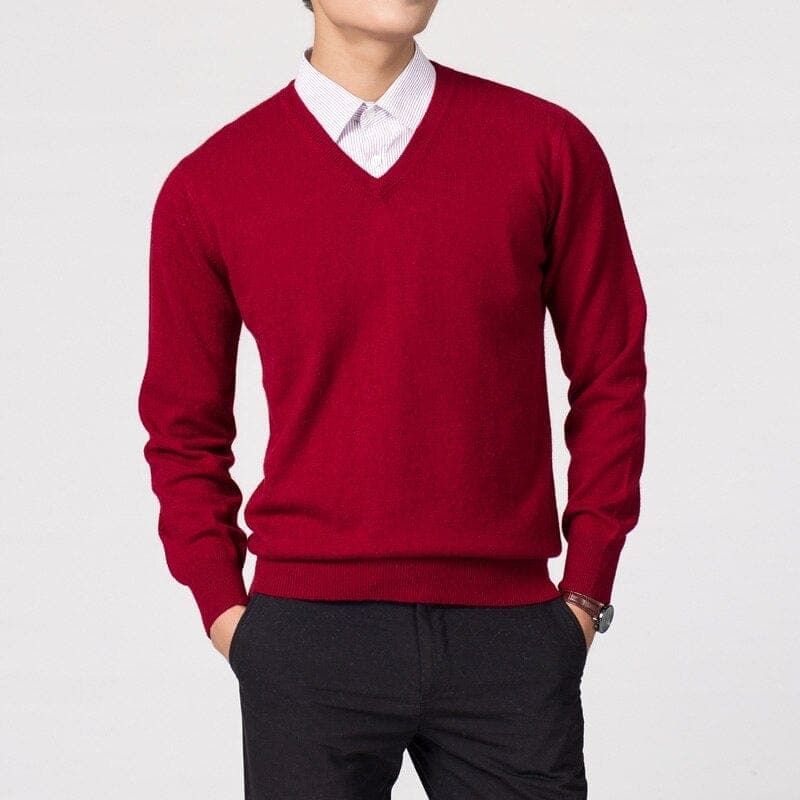 Casual Men's V-Neck Pullover Sweater