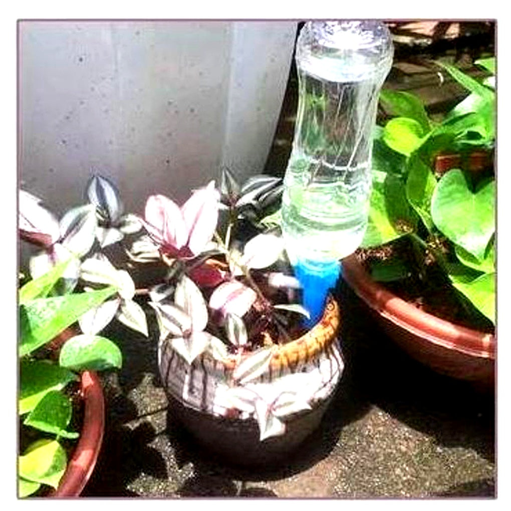 Easy Watering Plant Stakes (12 Pack) - Adjustable Garden Helper